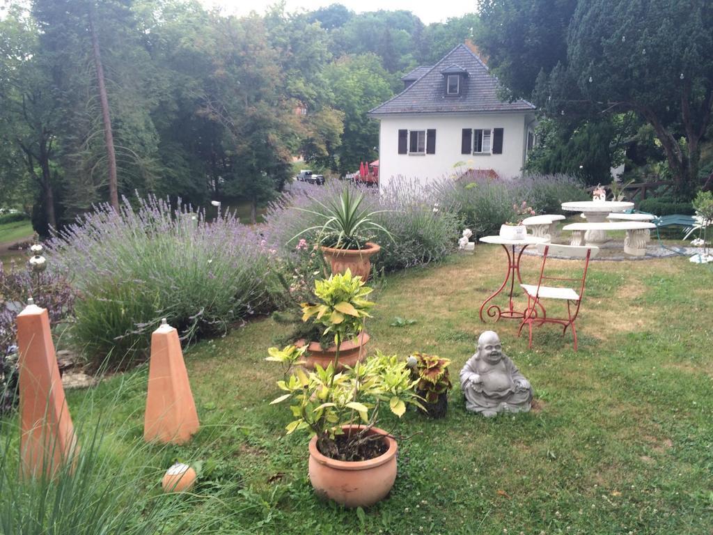 Traumparadies Bad Sulza Exterior foto